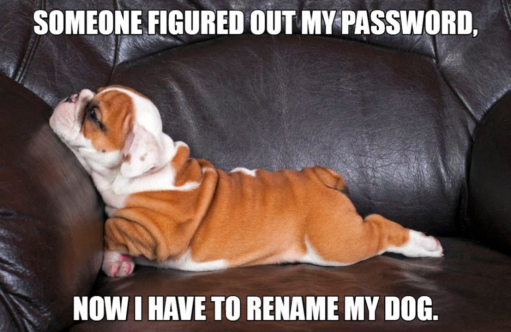 Password_rename_dog_joke
